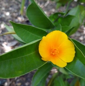 Meet your Posher, Keeley